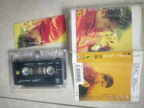 音像制品的收藏价值与制作艺术 从记忆载体到文化资产